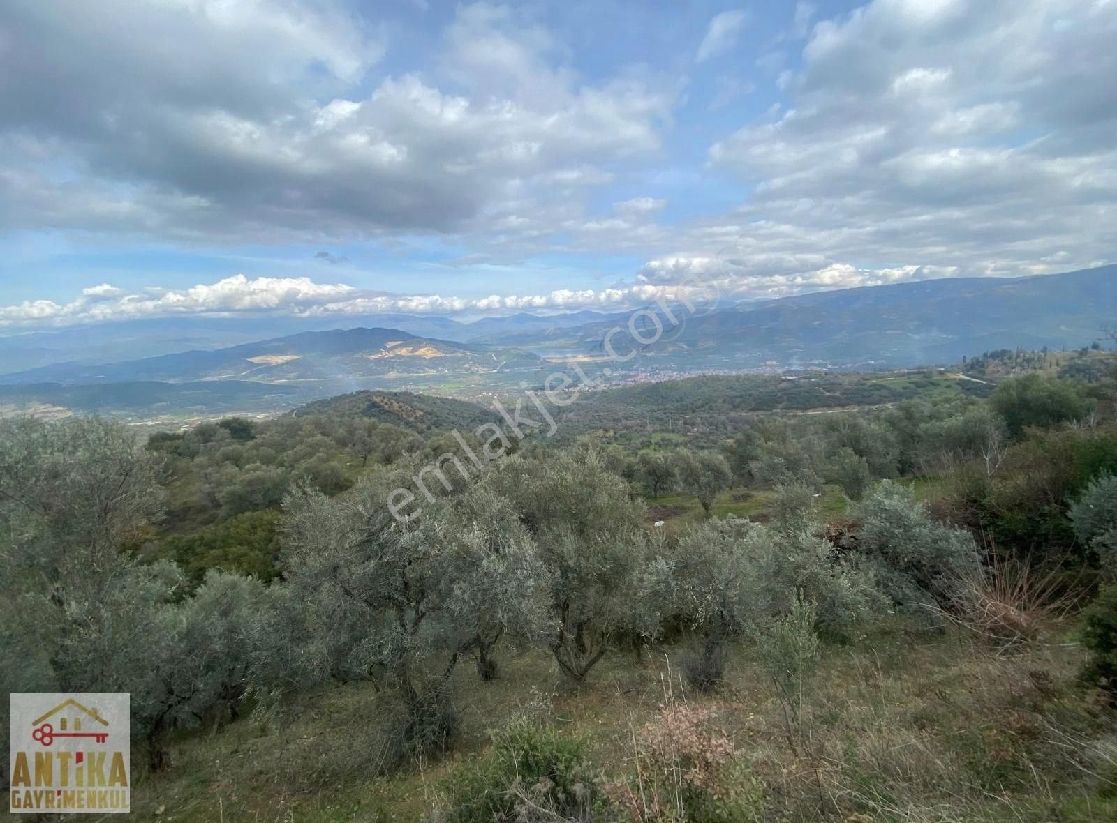Antika Gayrimenkulden Beydağ Mahallesi Satılık 5496 M² Zeytinlik - Görsel 4