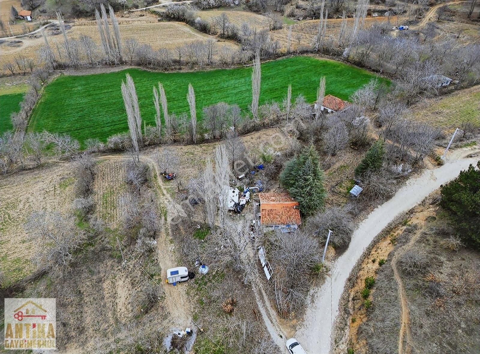 Antika Gayrimenkul'den Ödemiş Artıcak'ta Satılık Tarla+ Ev
