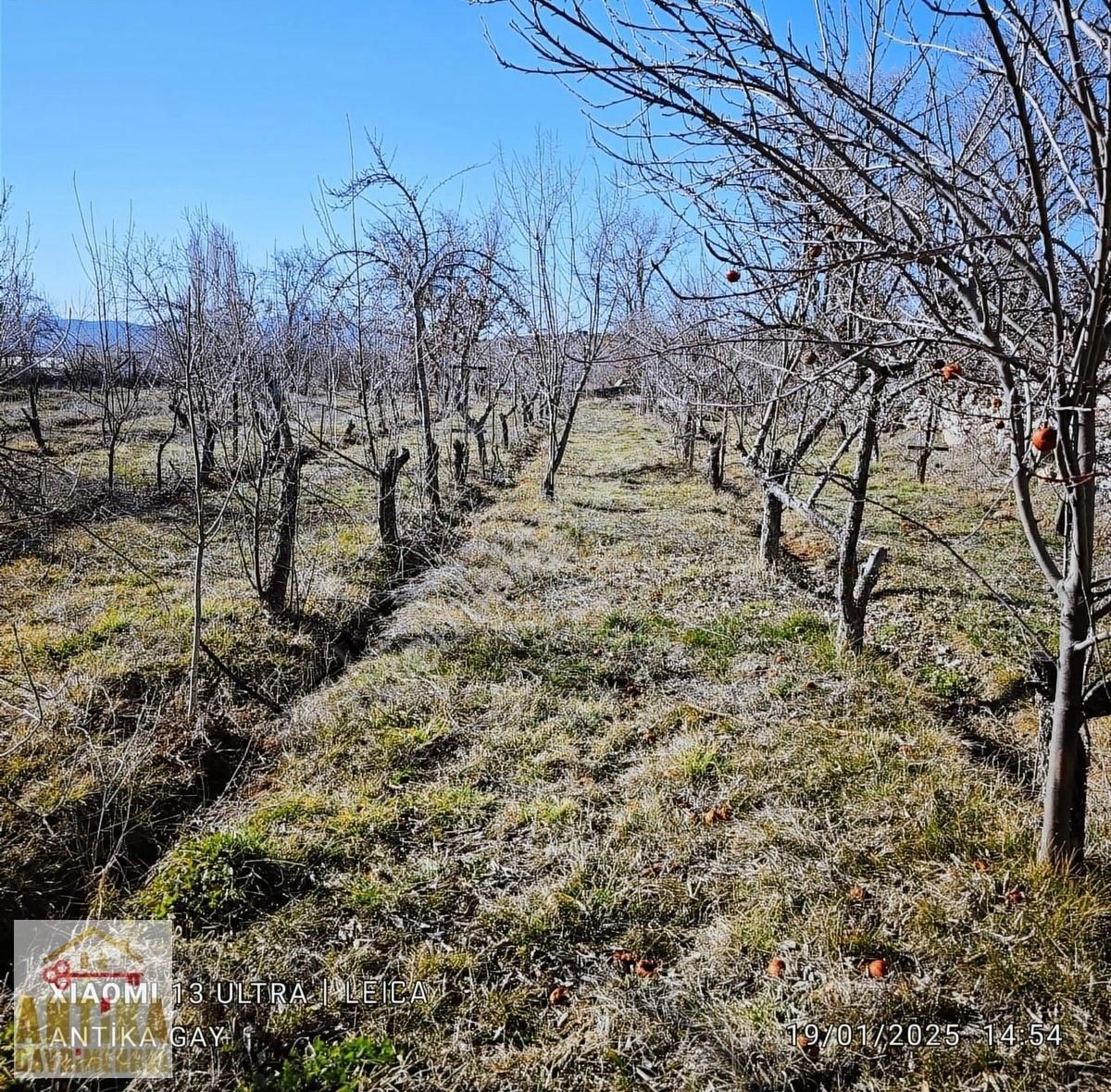Antika Gayrimenkulden Bağyakasında 1085 M² Satılık Bahçe