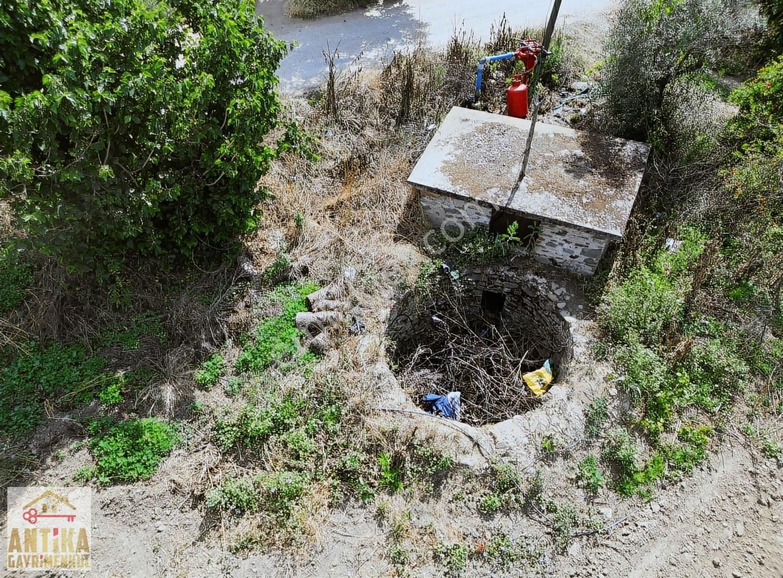 Antika'dan Bademli'de Satılık Müstakil Ev Ve İncir Bahçesi - Görsel 18