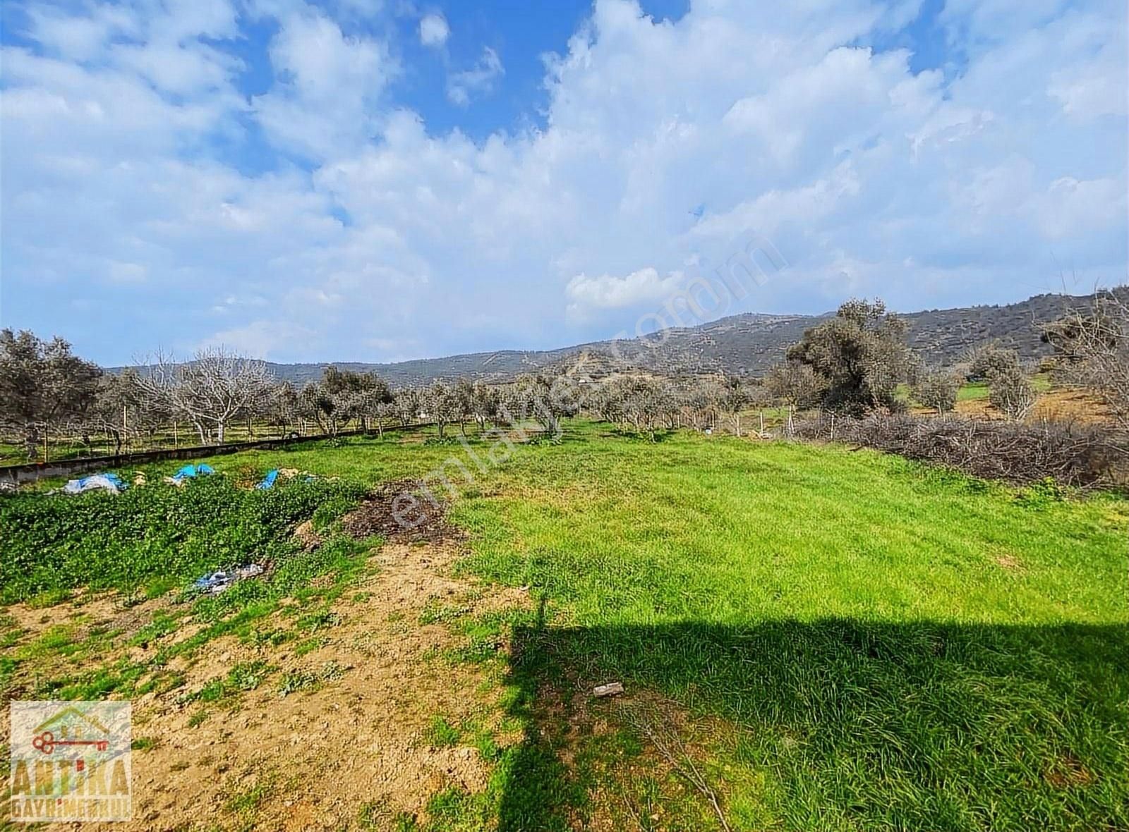 Antika Gayrimenkul'den 2 Müstakil Ev + 1 Dam Olan Satılık Bahçe - Görsel 16