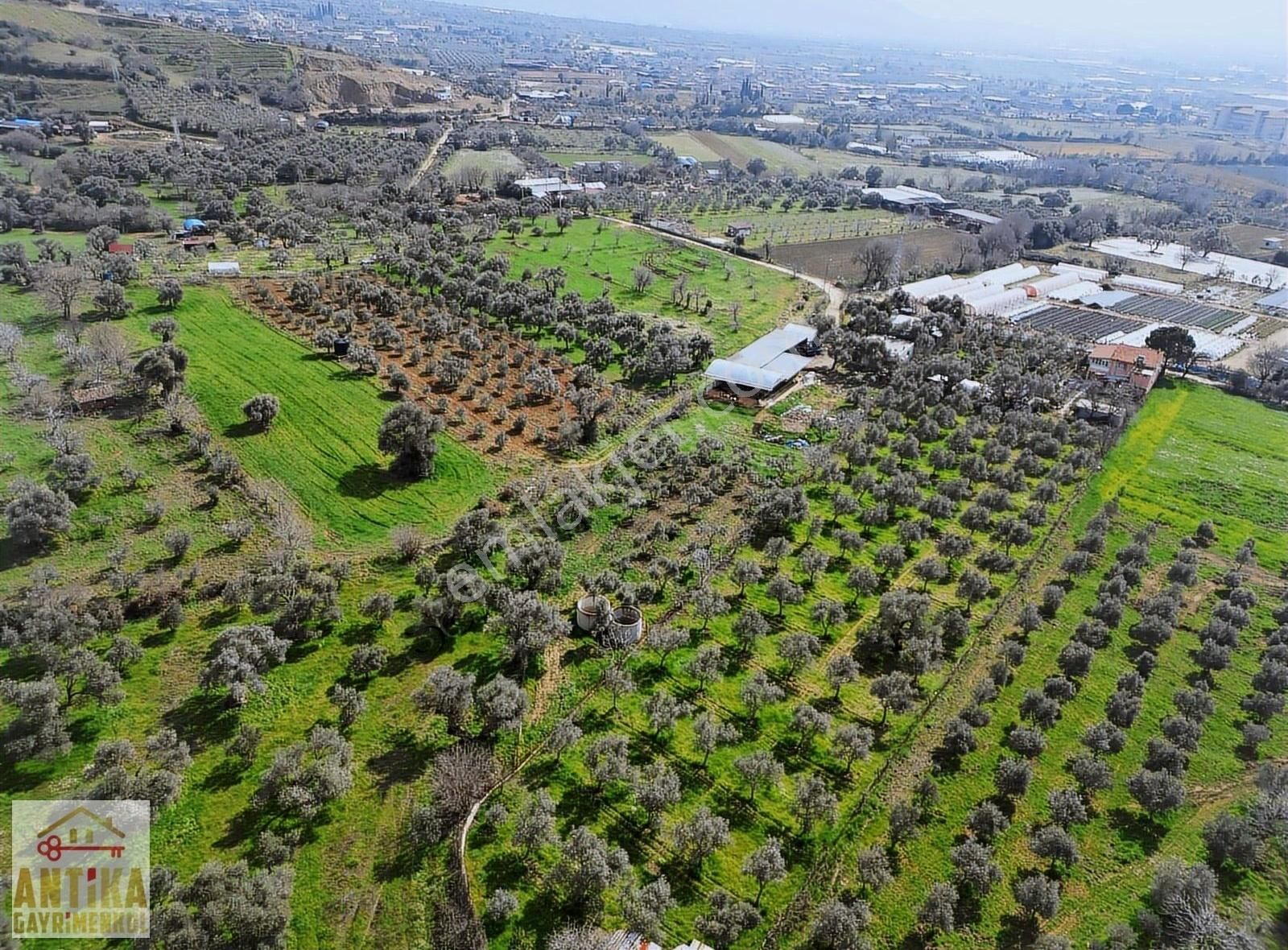 Antika Gayrimenkul'den 2 Müstakil Ev + 1 Dam Olan Satılık Bahçe - Görsel 7