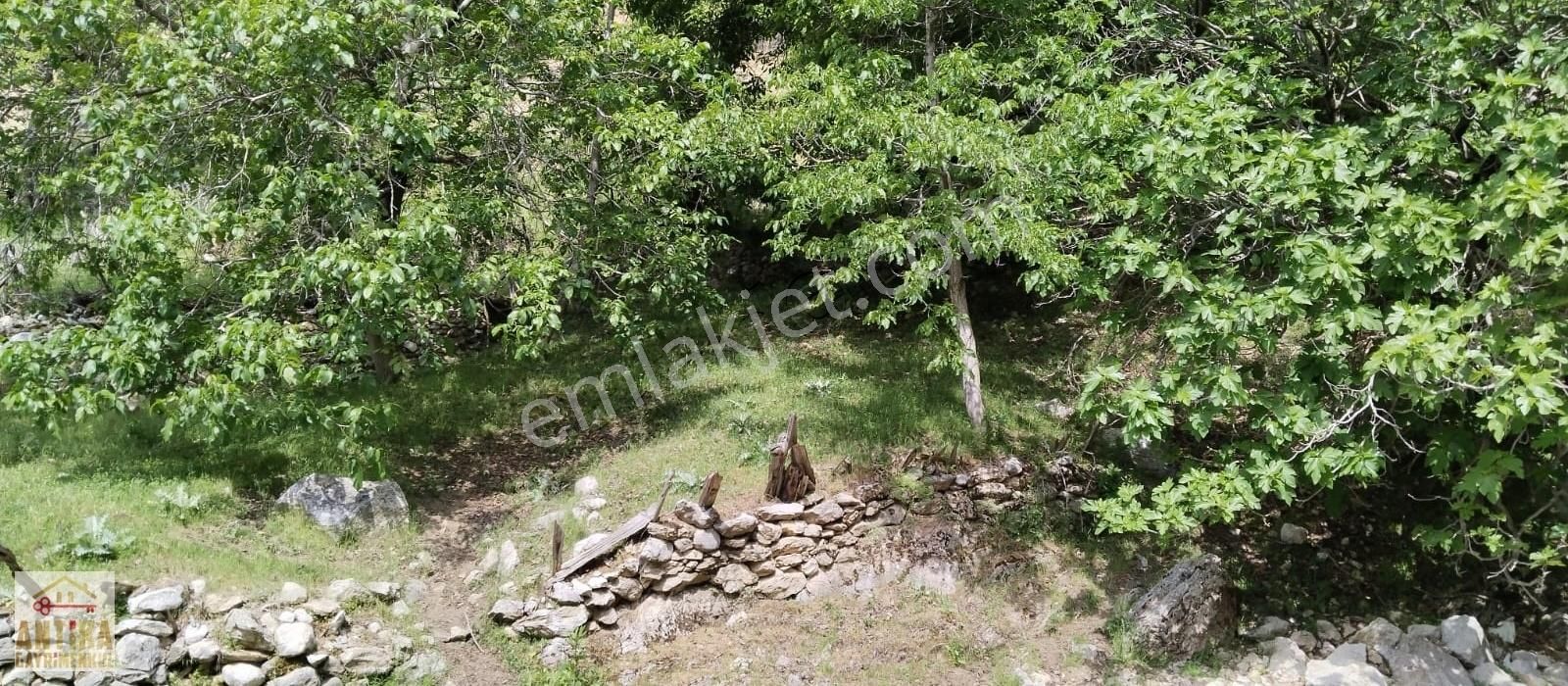 Antika Fethiye Ölüdeniz 1,5 Saat Mesafede Su Resmi Yolu - Görsel 7
