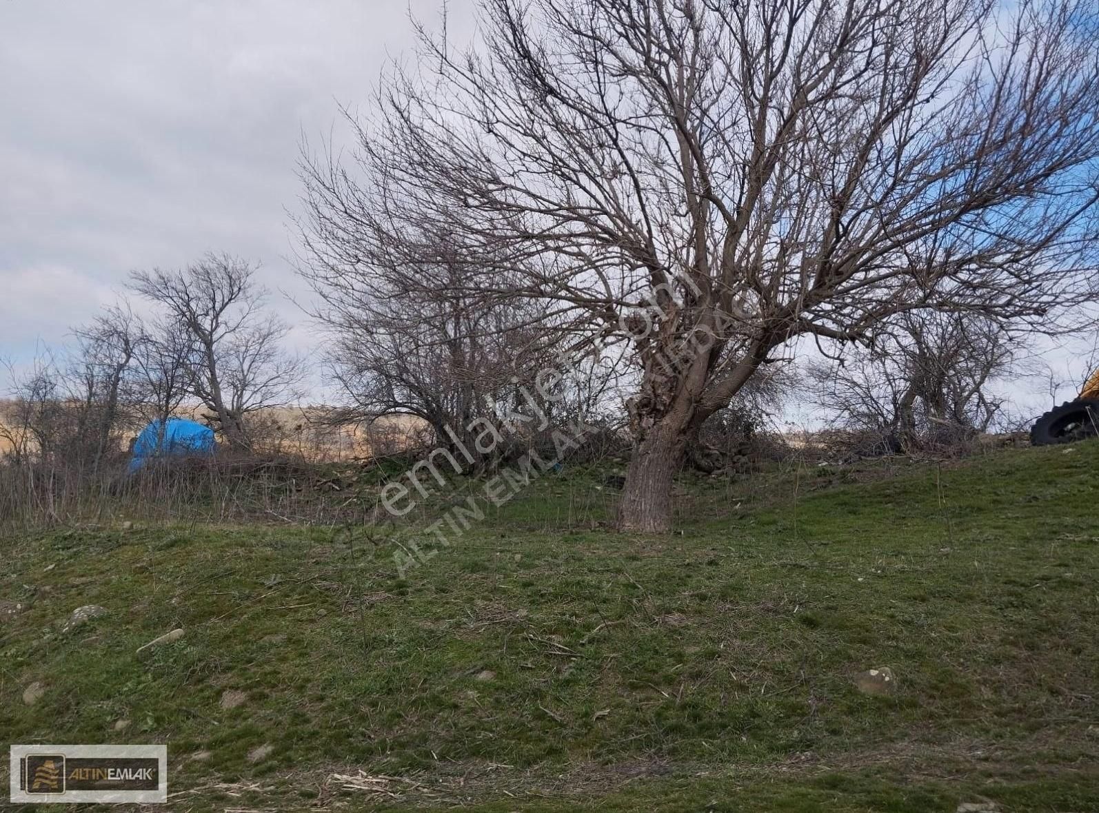 Tekirdağ'ın En Güzel Köyü Ormanlı'da 230 M2 Satılık Arsa