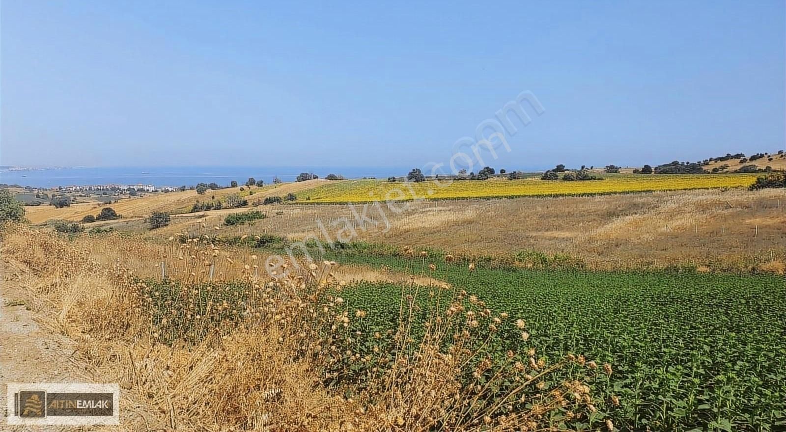 Tekirdağ Barbaros'ta 625 M2 Deniz Manzaralı Arsa