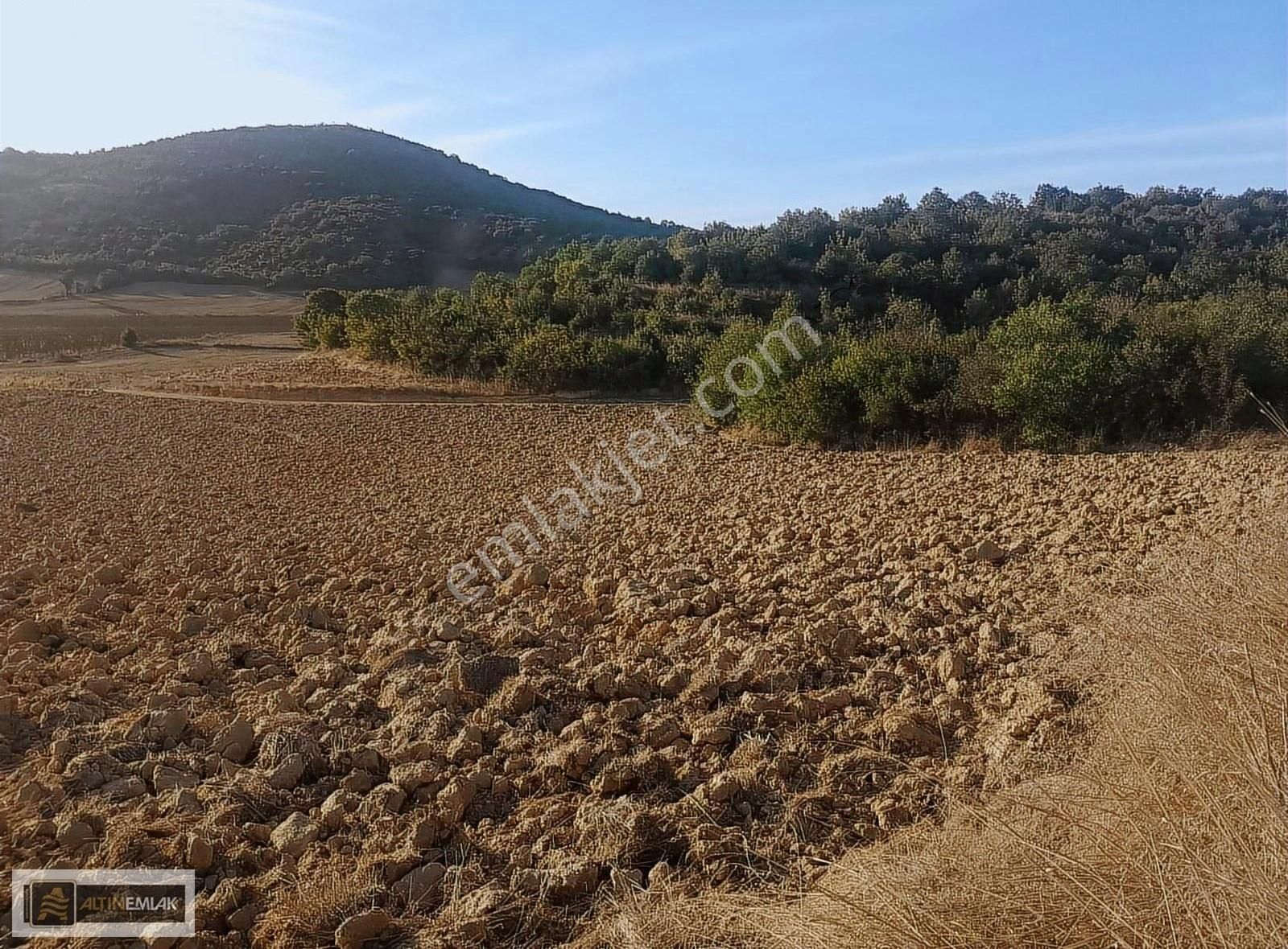 Tekirdağ Ferhadanlı Köyünde Yeni Baraj Yanı 5856 M2 Tarla