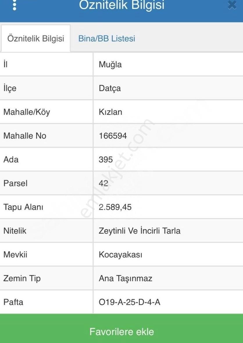 Muğla Datça Kızılan Bölgesinde 2.589 M² Zeytinlik Satılıktır