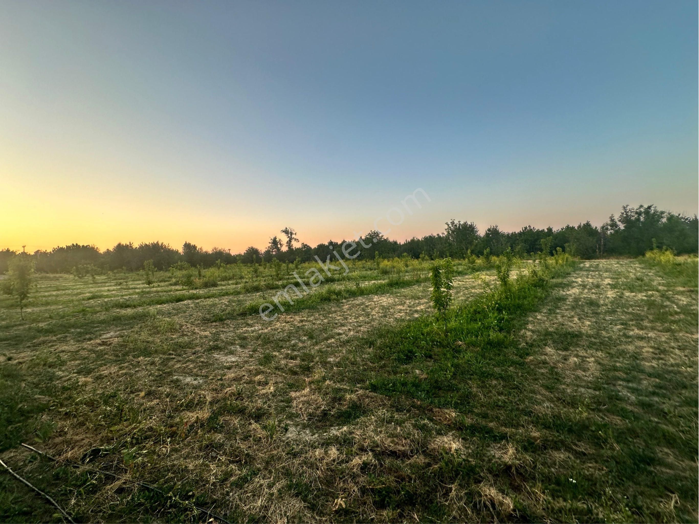 Tunçez Gm Atakentde 5.500 M² Satılık Süper Konumlu Bahçe Yol Su Var - Görsel 2