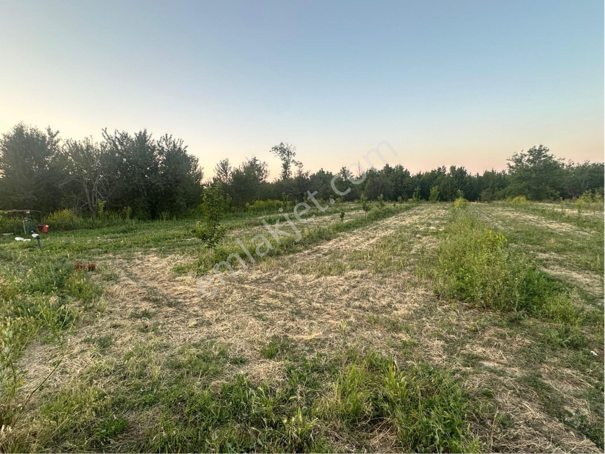 Tunçez Gm Atakentde 5.500 M² Satılık Süper Konumlu Bahçe Yol Su Var - Görsel 3