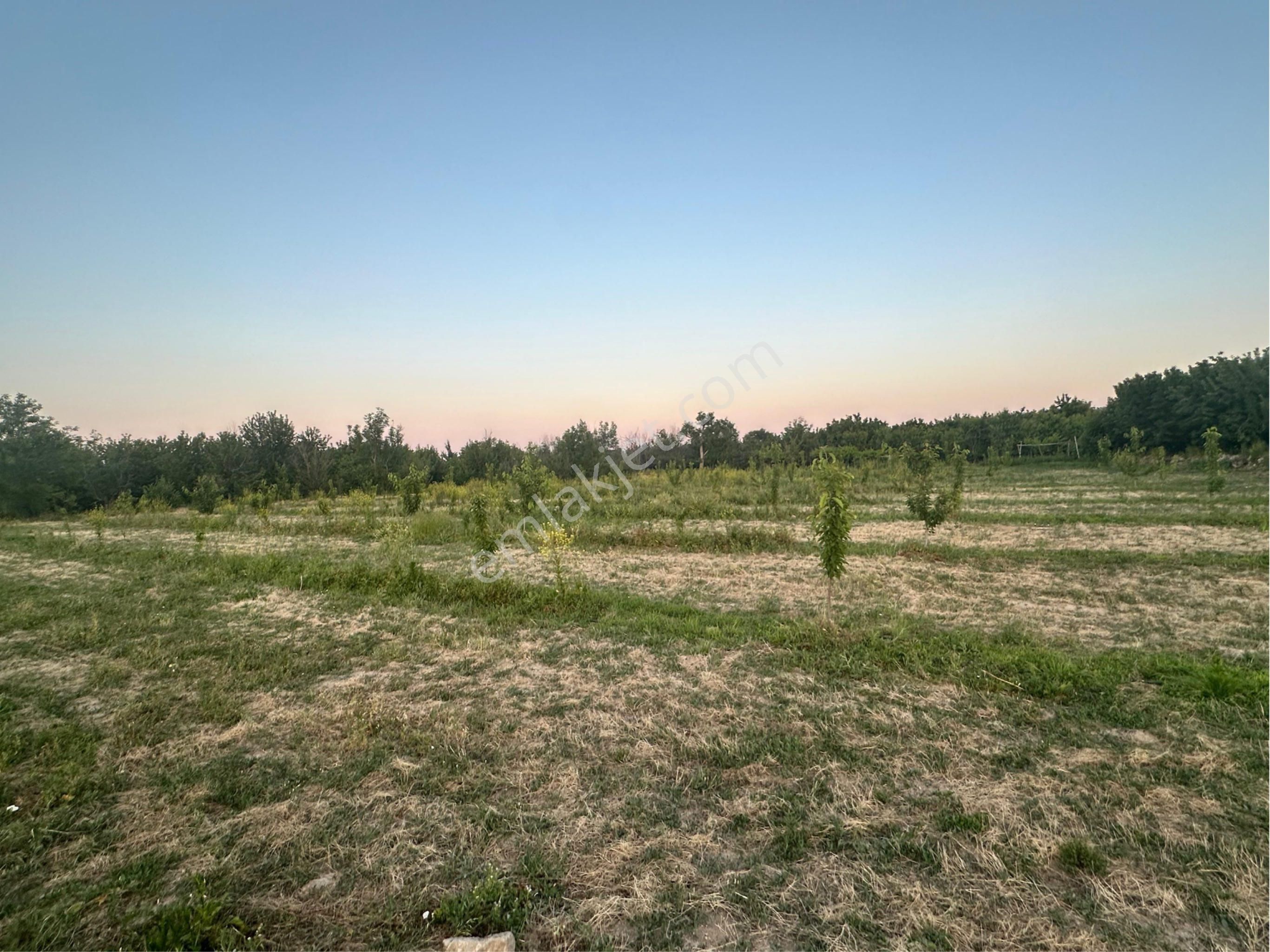 Tunçez Gm Atakentde 5.500 M² Satılık Süper Konumlu Bahçe Yol Su Var - Görsel 5