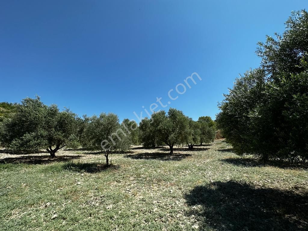 Bu Fiyata Arsa Yok , 861 M2 Satılık
