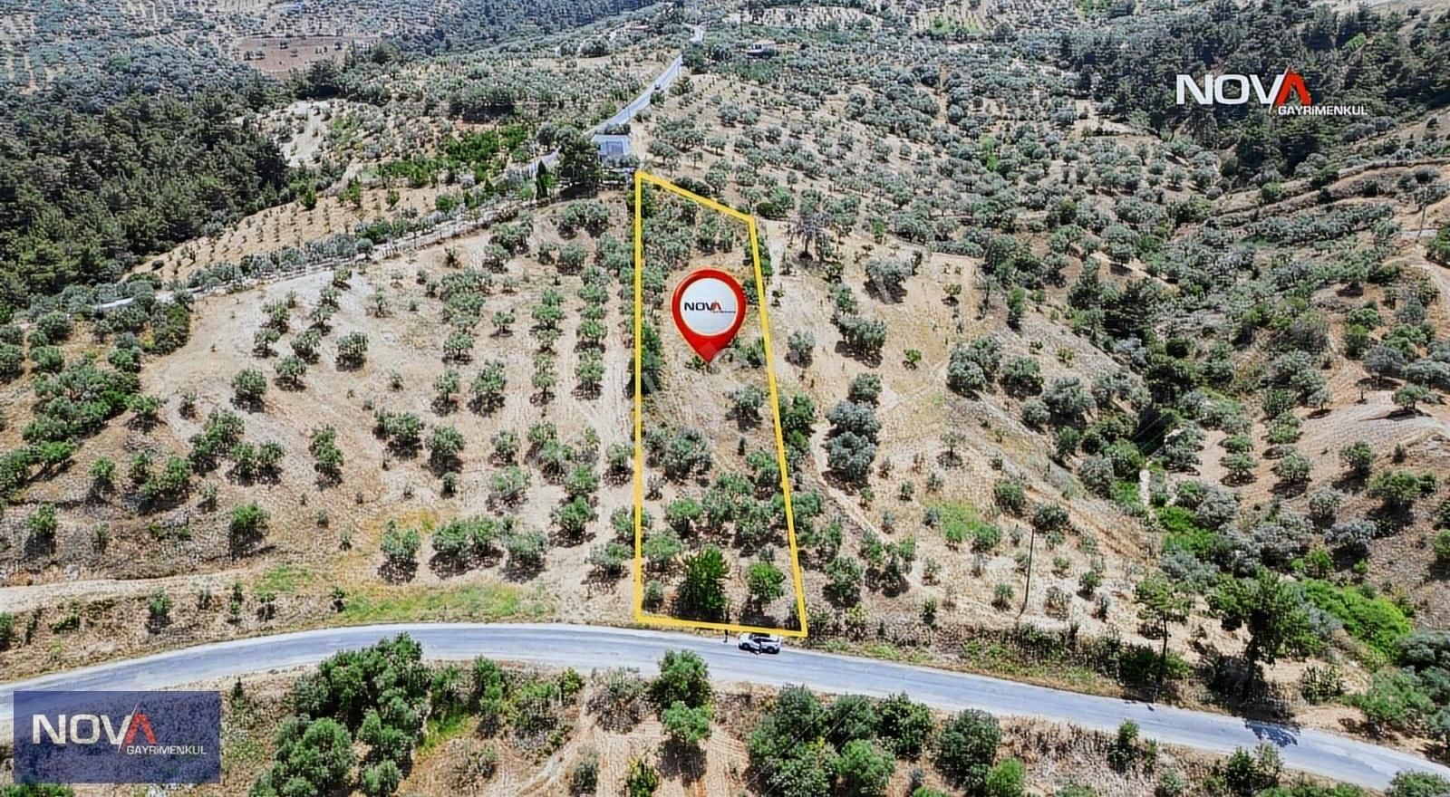 Nova'dan Çıkrıkçı Yolu'nda Satılık 2.675m² Yola Cepheli Tarla