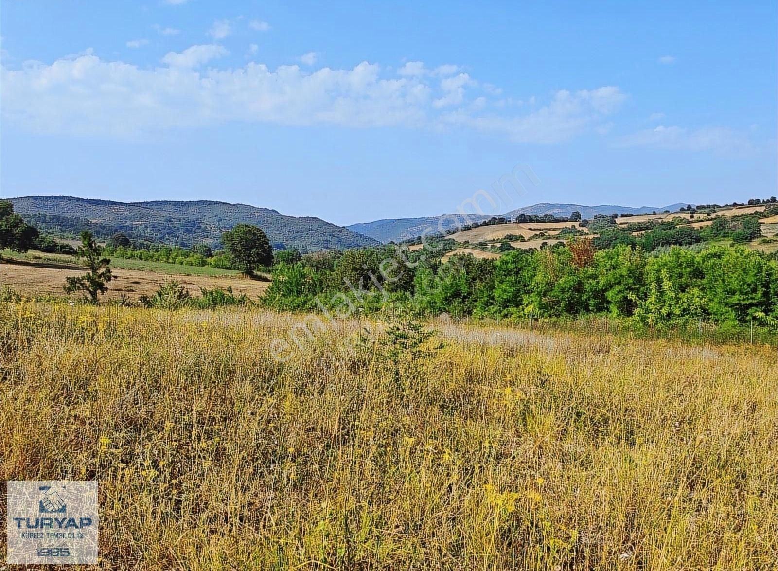 Turyap'tan Altıova Fevziye Mahallesinde 4.247 M2 Satılık Tarla