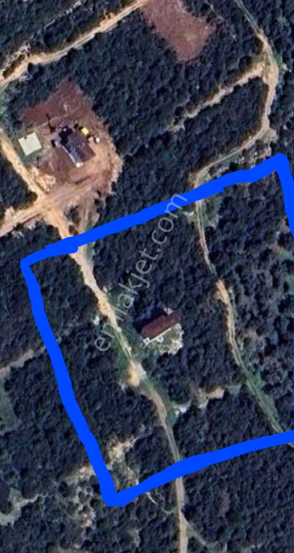 Didim Bozsekide Satılık 300m2 Imarlı Arsa