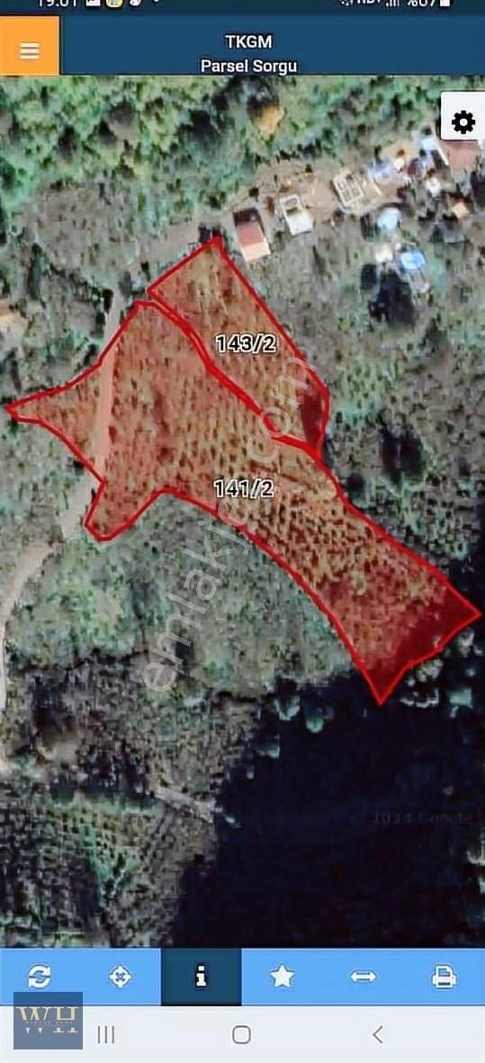 Eskikzılcakese De 6000 M2 Satılık Bahçe
