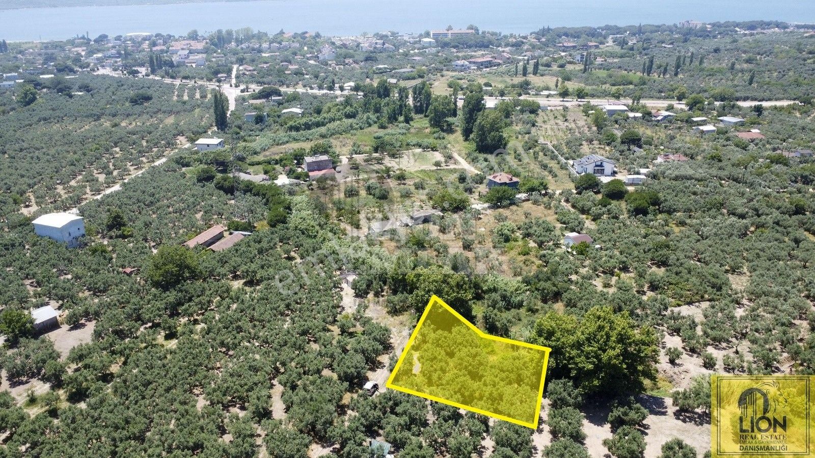 Erdek Çeltikçi Mahallesinde 402m² Yatırımlık Satılık Zeytinlik