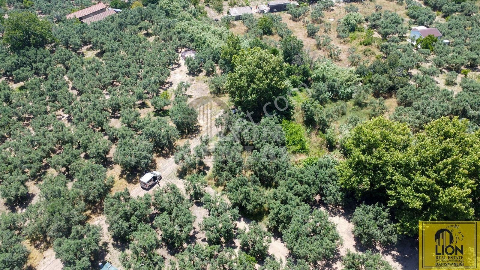 🟨⬛lıon Emlak'tan Erdek Çeltikçi Mahallesinde 402m² Yatırımlık Satılık Zeytinlik⬛🟨 - Görsel 21