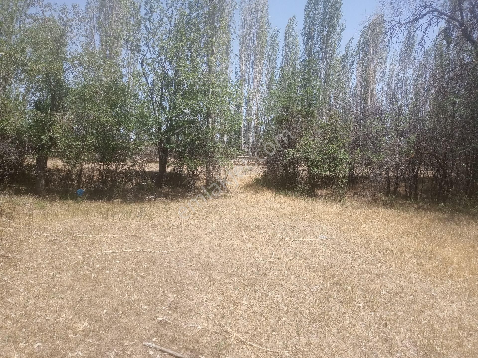 Çumra Balçıkhisar'da Köyün Dibinde 1530 M2 Müstakil Bahçe