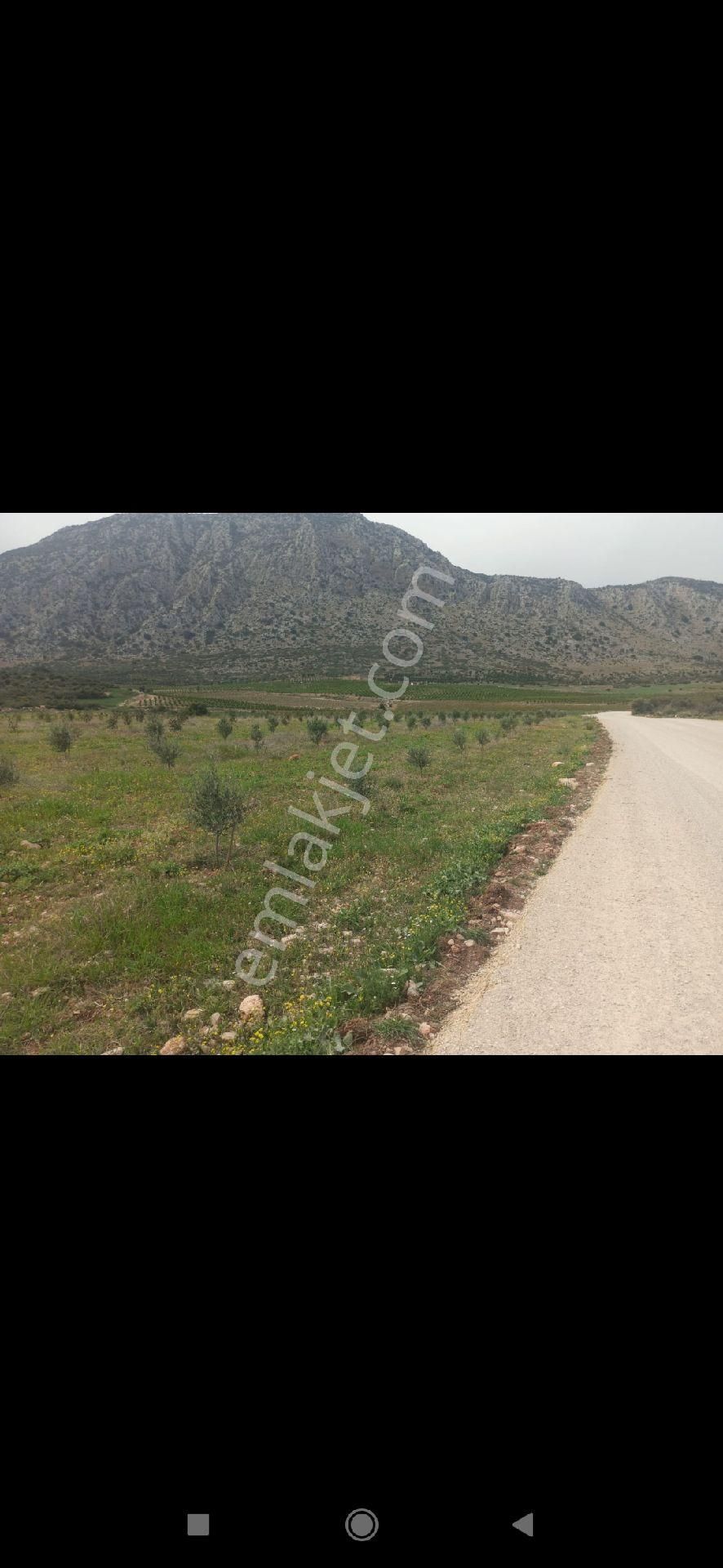 Anayol Kenarı Elektirik Dibinde