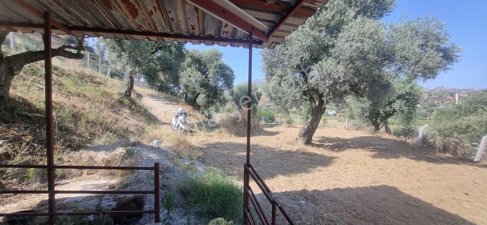 Tombul Emlaktan Sailer Köyünde Satılık Hobi Bahçesi