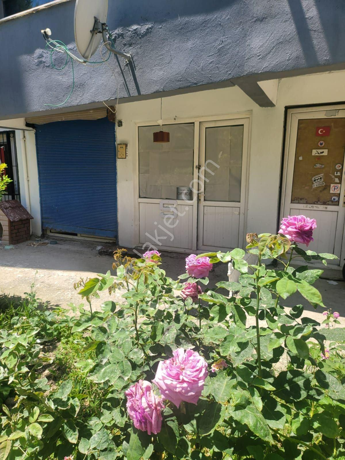 Kuşadası Marina Mevki Sahile 300 Metre Dükkan - Görsel 14
