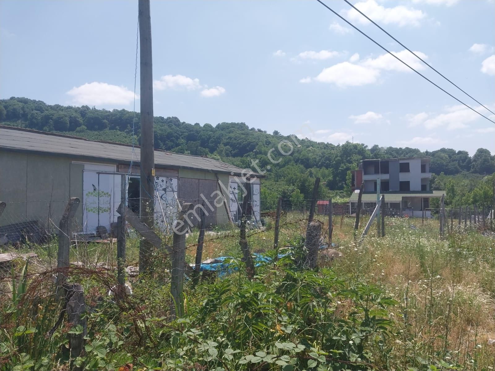 Samsun Salı Pazarında Satılk 862 M2 Dönüm Arsa