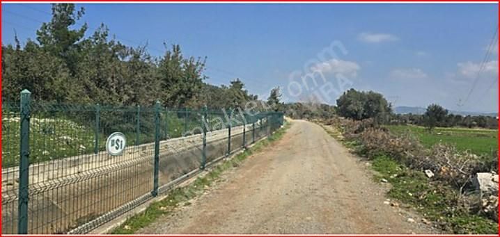 Bodrum Sazköy Satılık Tarla