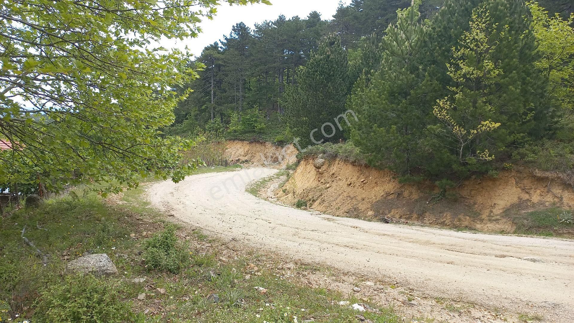 Kazdağları Nın Zirvesinde Kadastral Yola Cepheli Satılık Tarla