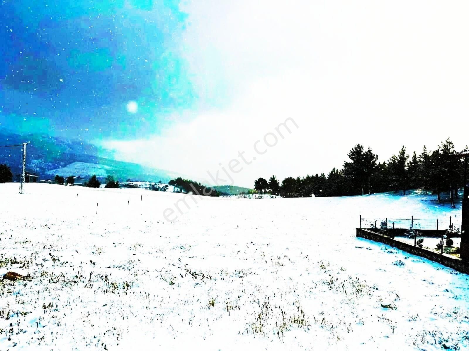 Pozantı Kar Emlak Tan Alpu Yaylasında Doğa Manzaralı 480 M2 Satılık Arsa - Görsel 6