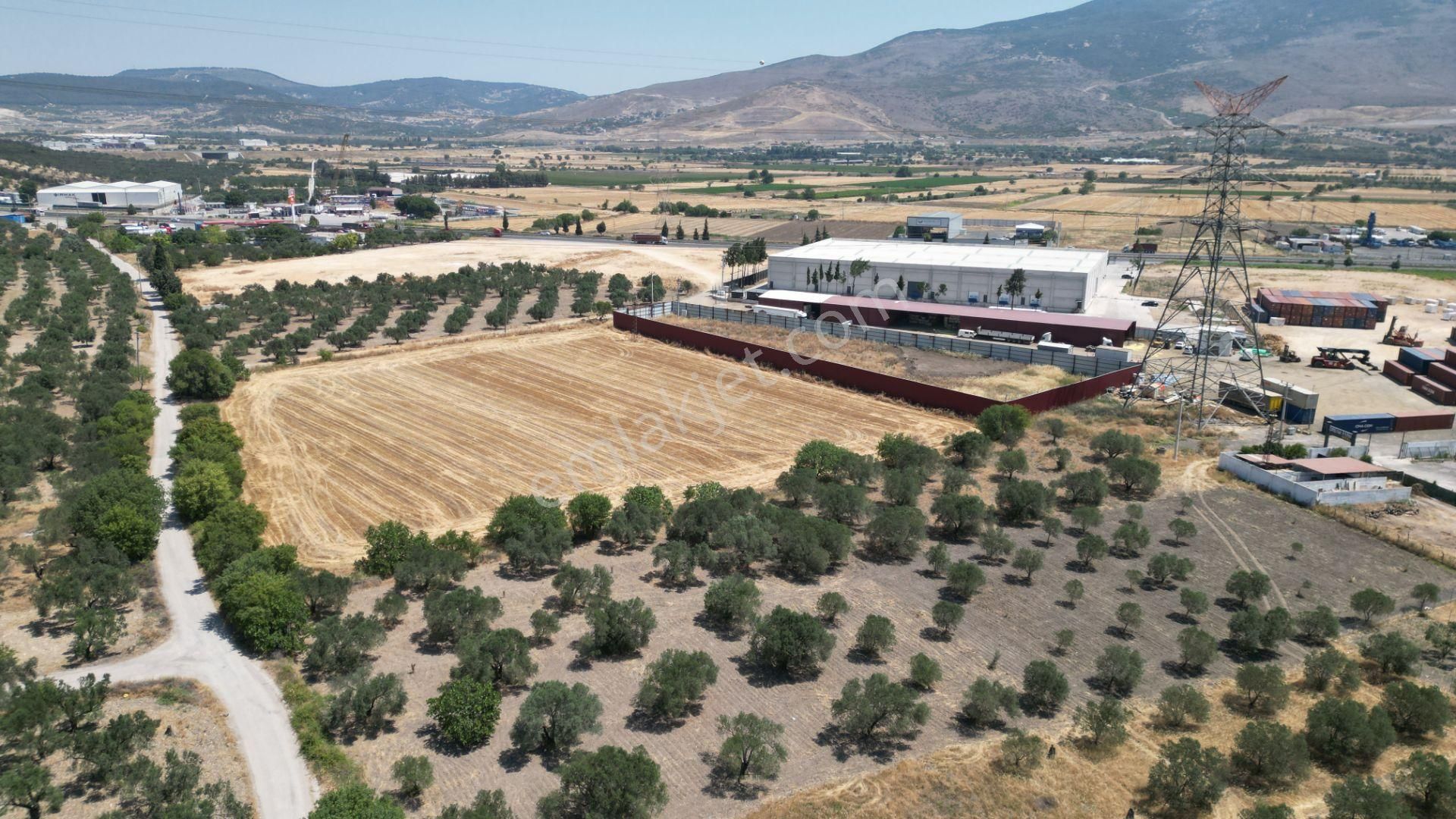 Helvacıda 315 M2 Satılık Etrafı Tel İle Çevrili Tarla