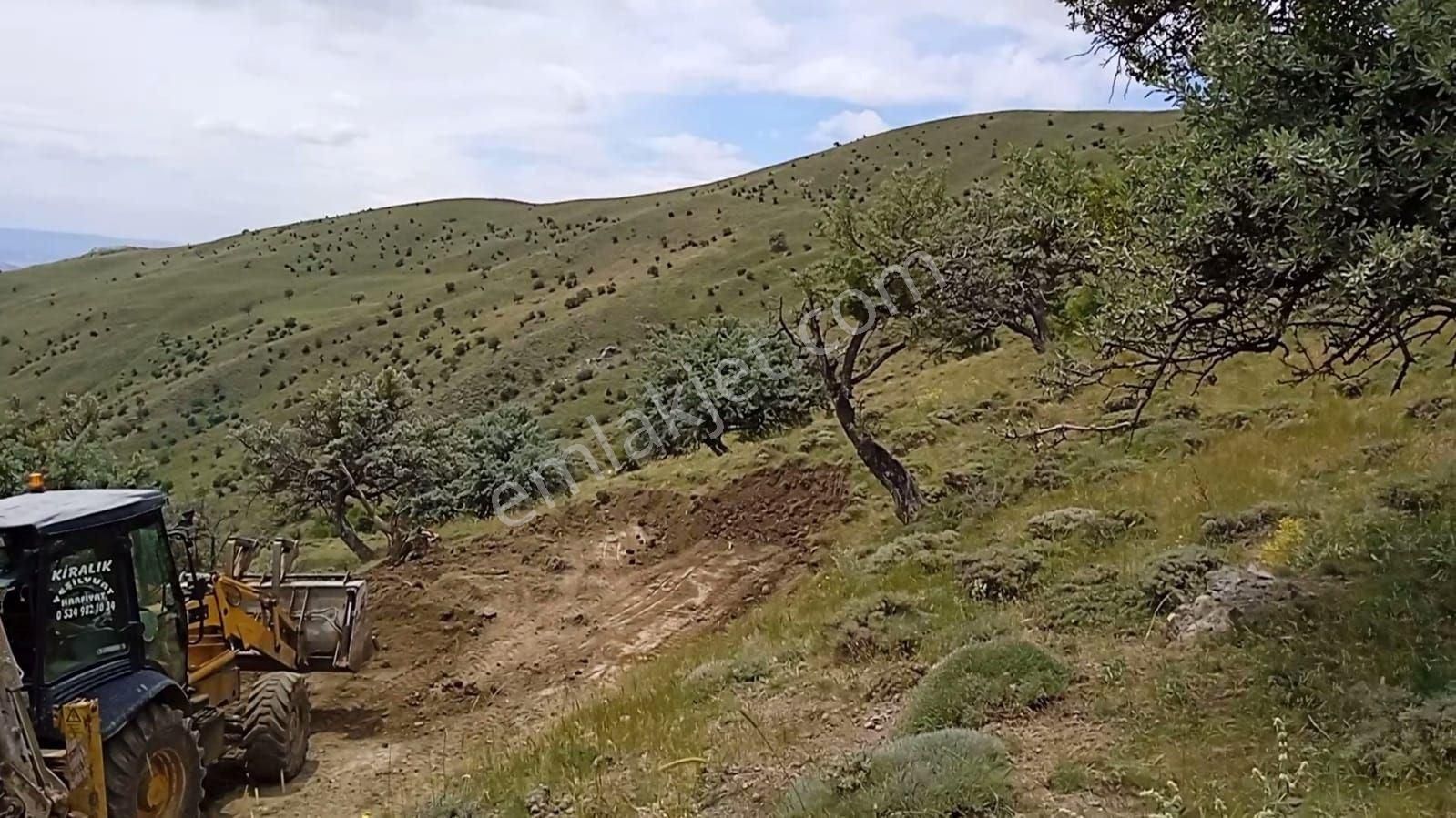 Yeşildere Seyitcemali Mah 8768m2 Tektapu Yatırımlık Satlıktarla