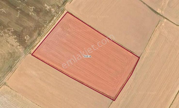 Kütahya Altıntaş Üçüyük' De 5385m2 Satılık Tarla - Görsel 9