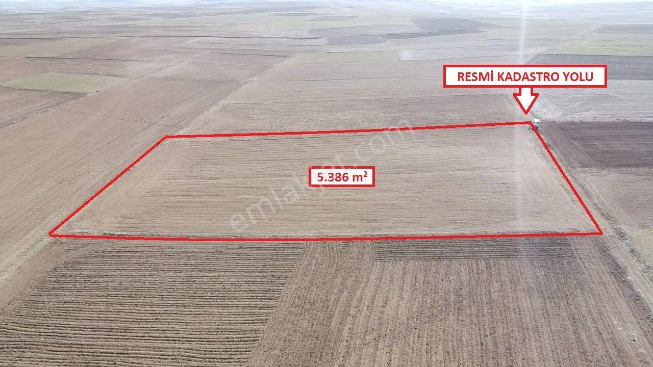 Kütahya Altıntaş Üçüyük' De 5385m2 Satılık Tarla - Görsel 13