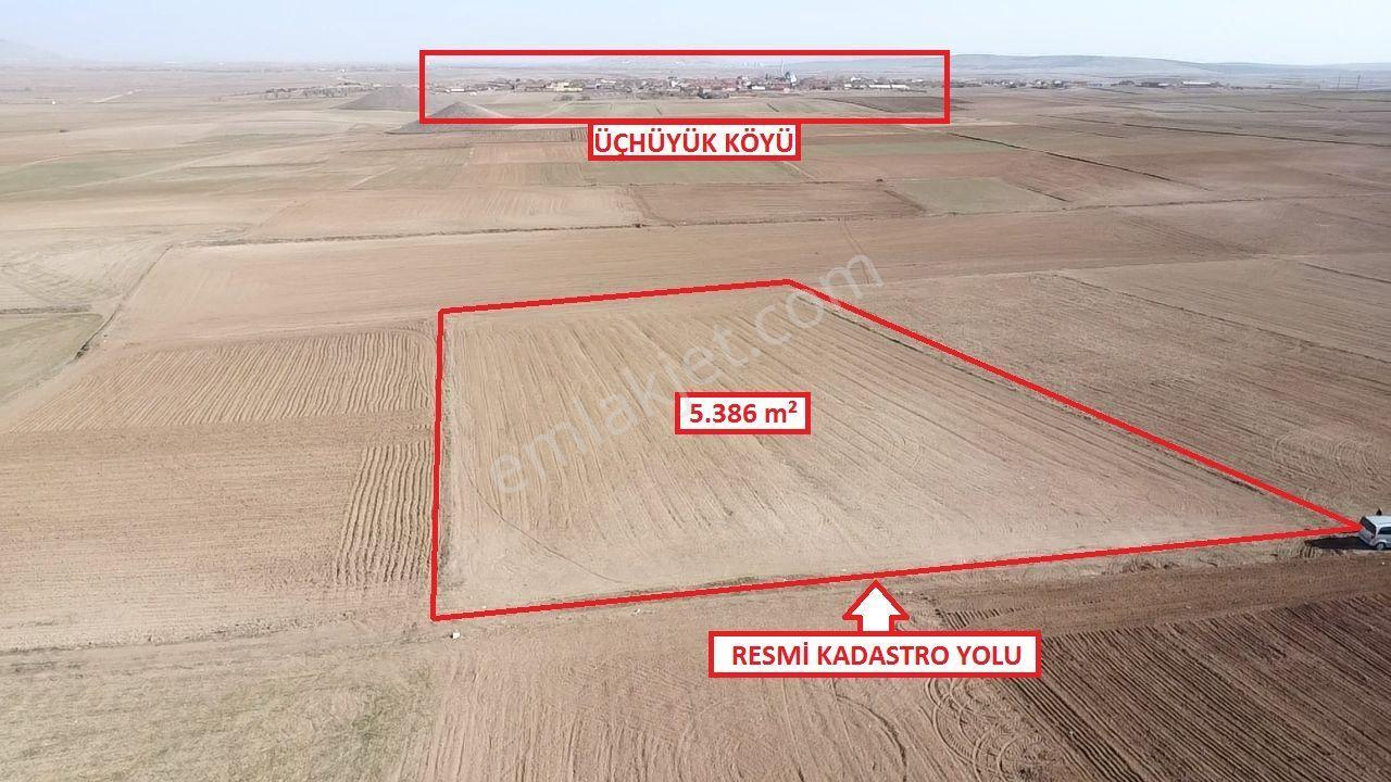 Kütahya Altıntaş Üçüyük' De 5385m2 Satılık Tarla - Görsel 7