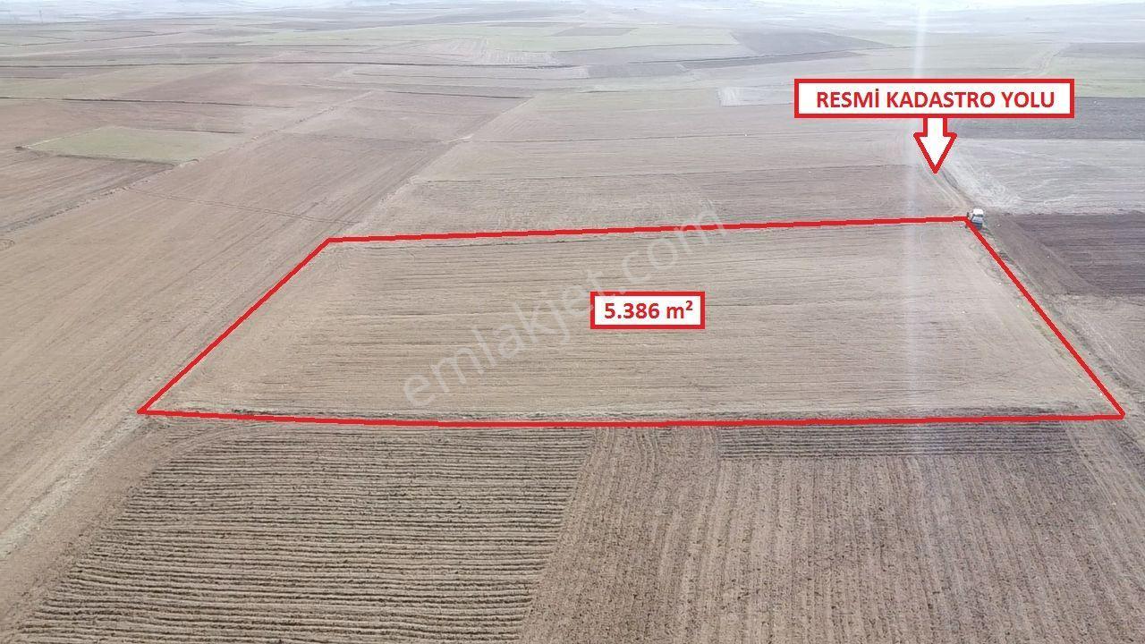 Kütahya Altıntaş Üçüyük' De 5385m2 Satılık Tarla - Görsel 16