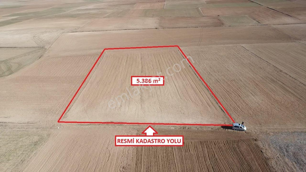 Kütahya Altıntaş Üçüyük' De 5385m2 Satılık Tarla - Görsel 21