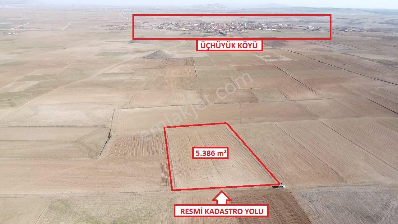 Kütahya Altıntaş Üçüyük' De 5385m2 Satılık Tarla - Görsel 5