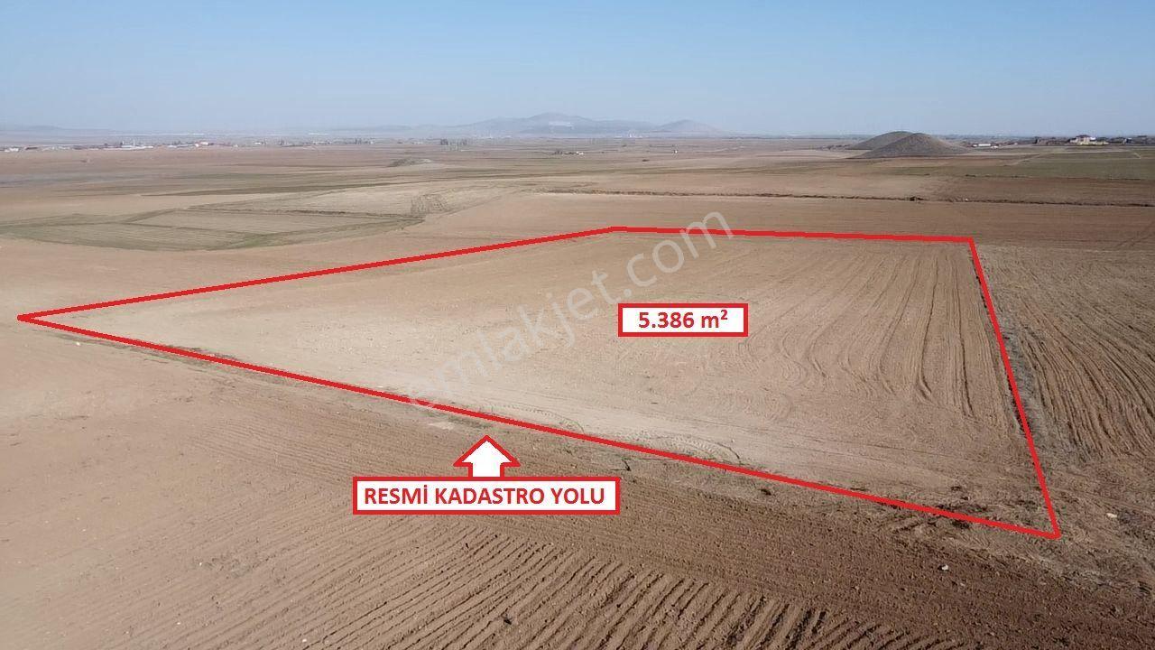 Kütahya Altıntaş Üçüyük' De 5385m2 Satılık Tarla - Görsel 15