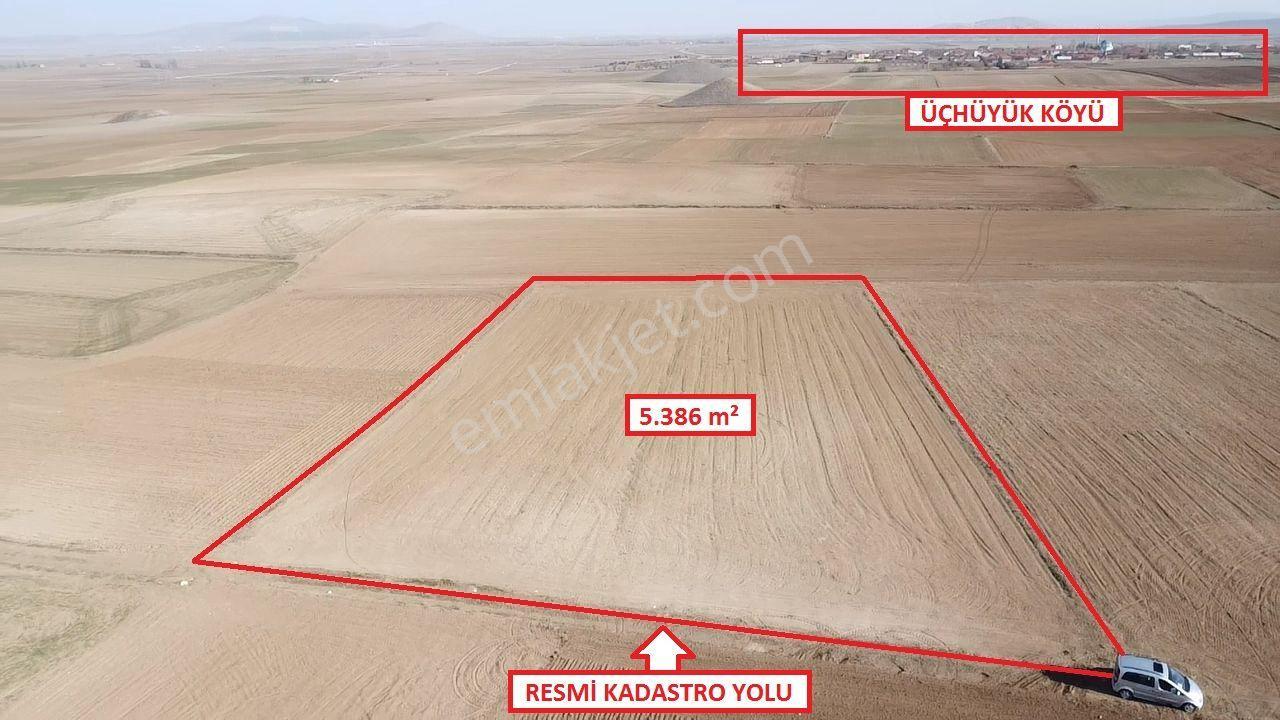 Kütahya Altıntaş Üçüyük' De 5385m2 Satılık Tarla - Görsel 8