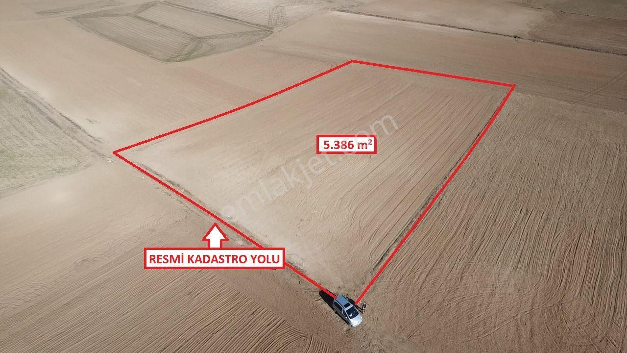 Kütahya Altıntaş Üçüyük' De 5385m2 Satılık Tarla - Görsel 12