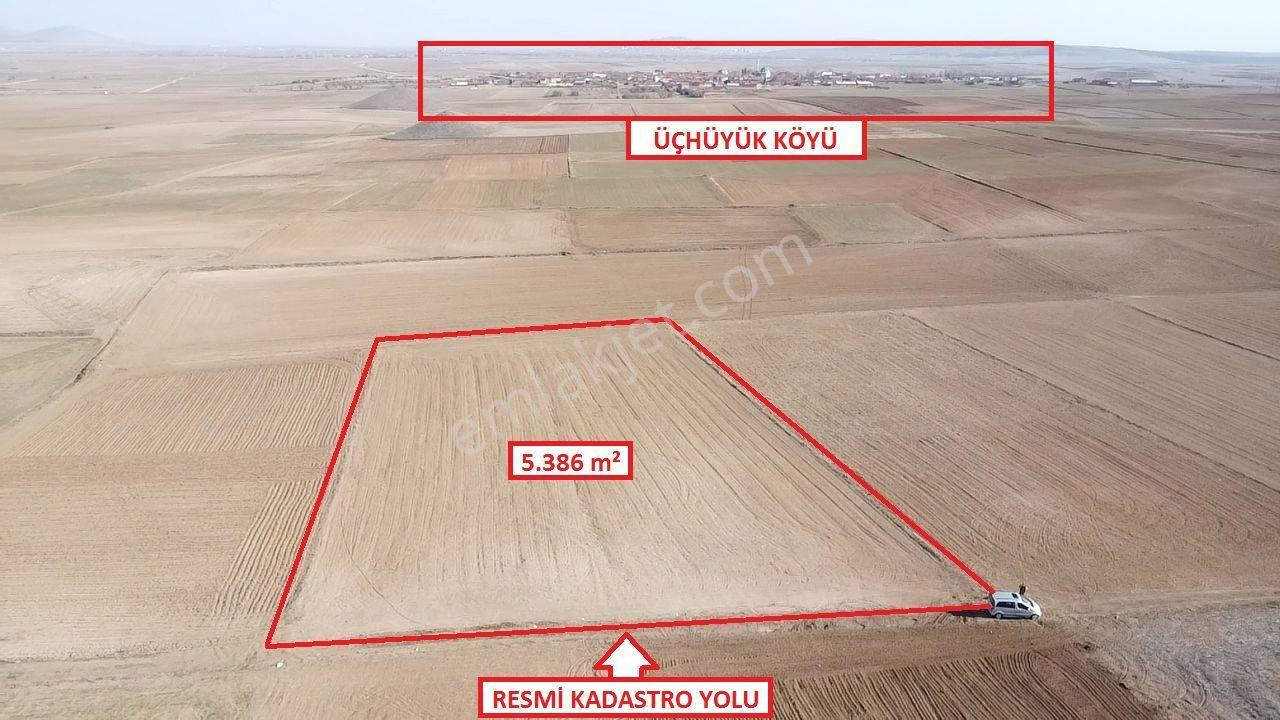 Kütahya Altıntaş Üçüyük' De 5385m2 Satılık Tarla - Görsel 22