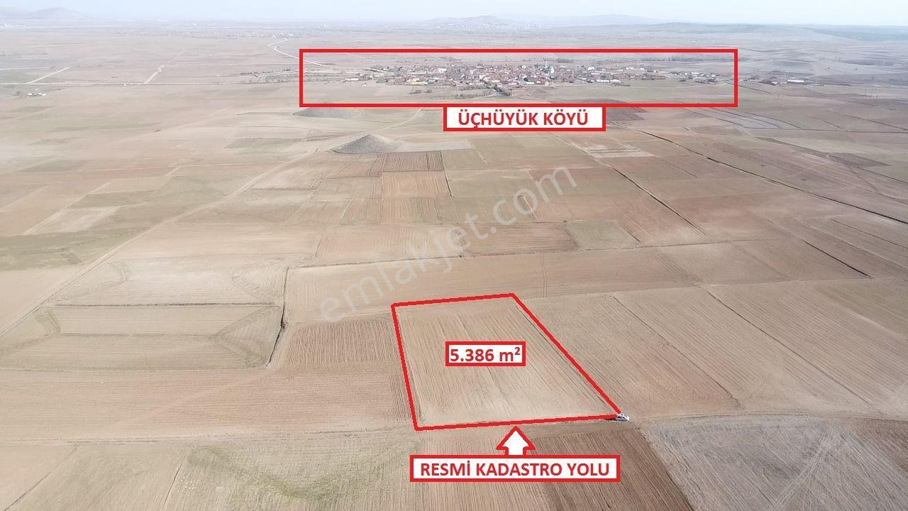 Kütahya Altıntaş Üçüyük' De 5385m2 Satılık Tarla - Görsel 2