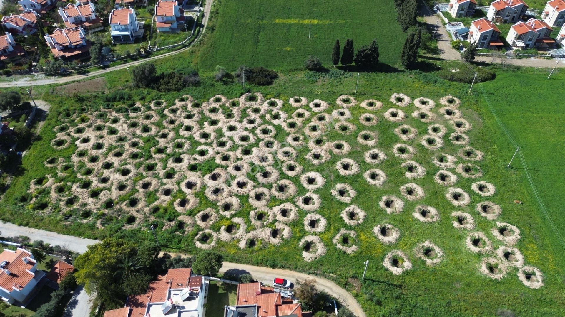 Datça Merkezde Satılık Sahile Yakın Otel Arazisi - Görsel 4