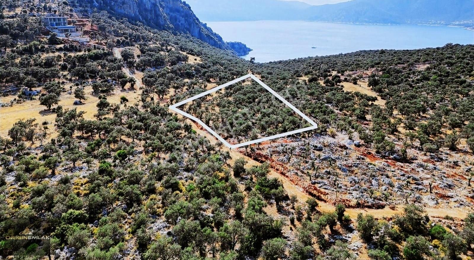 Kaş Ulugöl'de Tek Tapu 3227 M2 Arazi