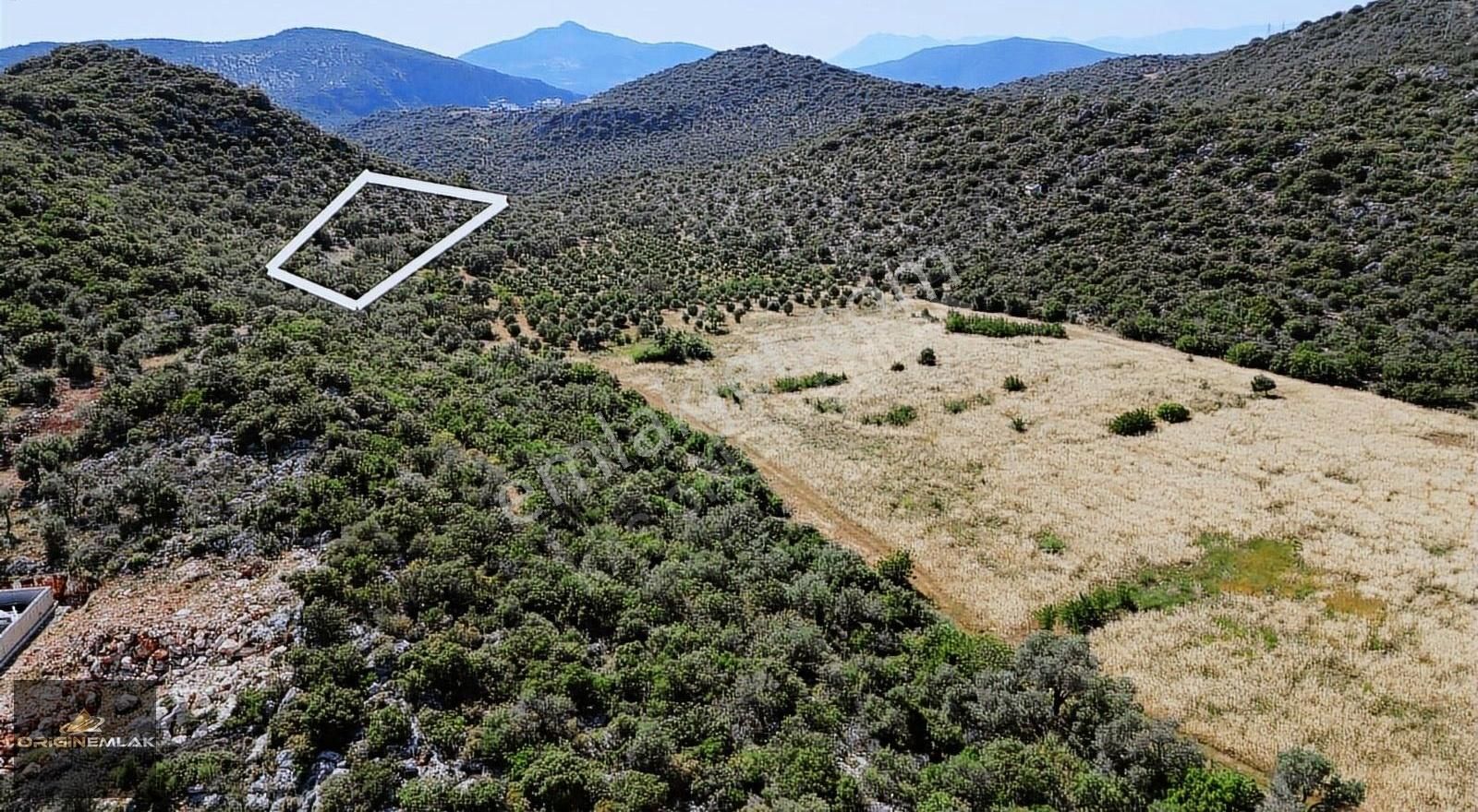 Kaş Bezirgan'da D-400 Karayolu Üzerinde 2b Satılık 450 M2