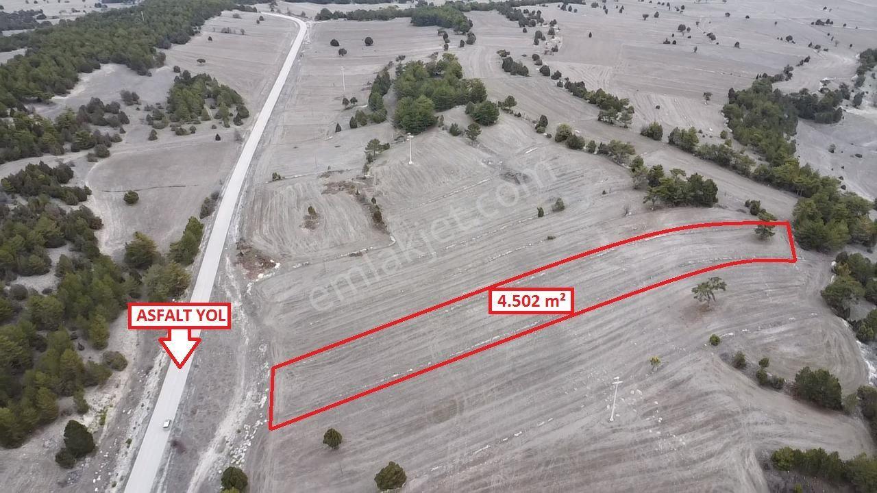 Kütahya Aslanapa Çamırdık' Da 4502 M2 Satılık Tarla - Görsel 15
