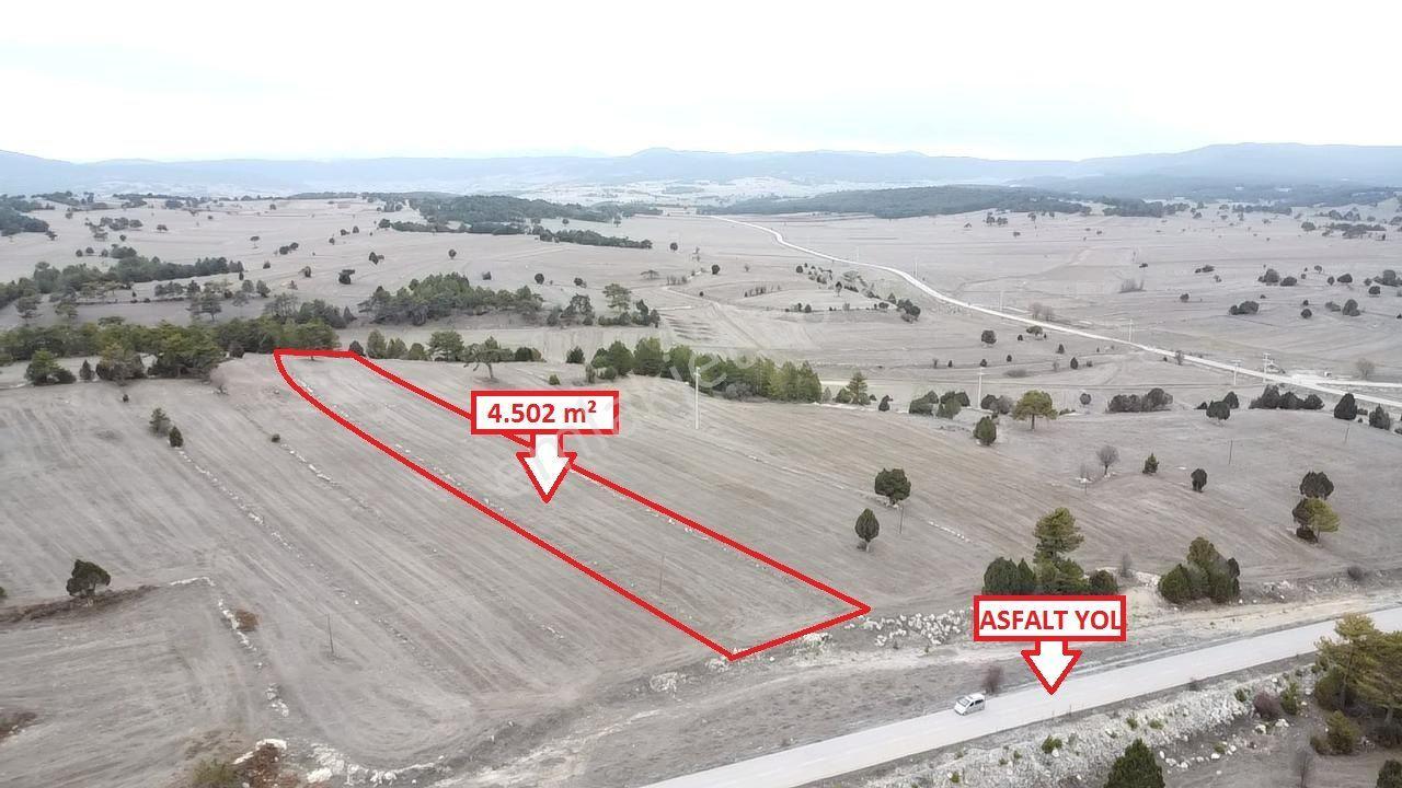 Kütahya Aslanapa Çamırdık' Da 4502 M2 Satılık Tarla - Görsel 4