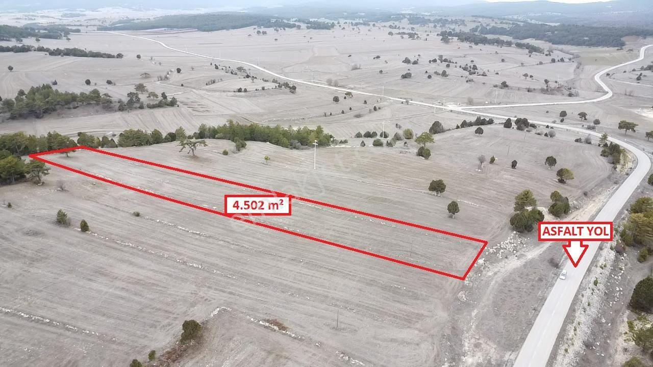 Kütahya Aslanapa Çamırdık' Da 4502 M2 Satılık Tarla - Görsel 11