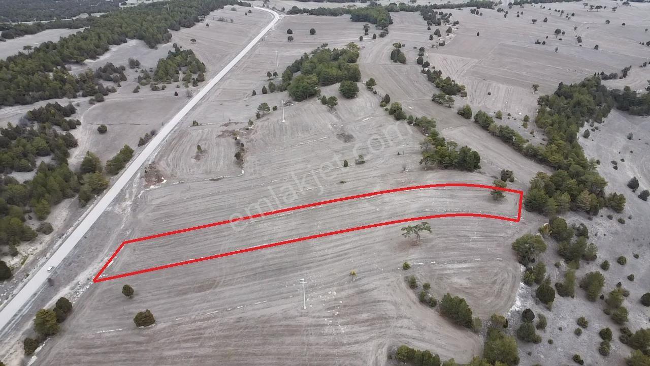 Kütahya Aslanapa Çamırdık' Da 4502 M2 Satılık Tarla - Görsel 7