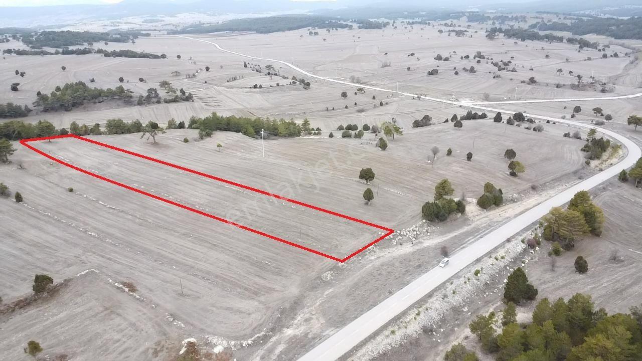 Kütahya Aslanapa Çamırdık' Da 4502 M2 Satılık Tarla - Görsel 6